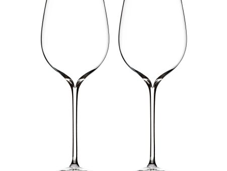 Elegance Pinot Noir Wine Glasses (Set of 2) Online now