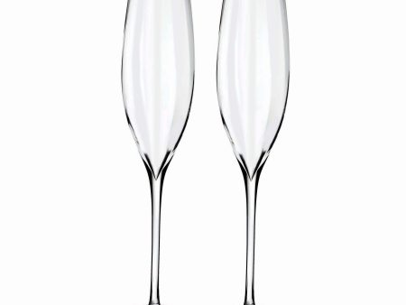 Elegance Optic Classic Champagne Glasses (Set of 2) Hot on Sale