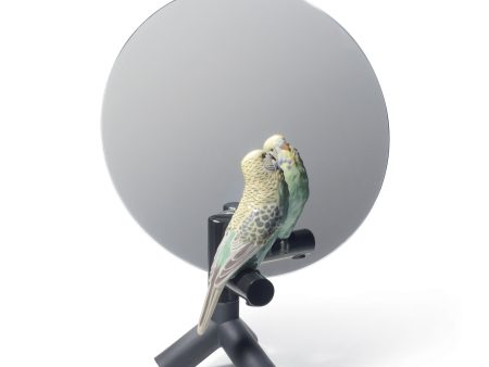 Parrot Vanity Mirror Supply