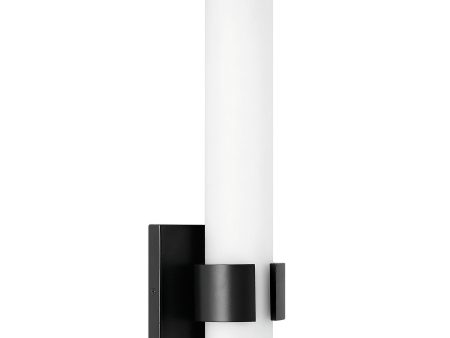 Aiden Vertical Wall Light Online